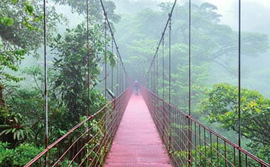 Walkways in Monteverde Cloud Forest in Costa Rica